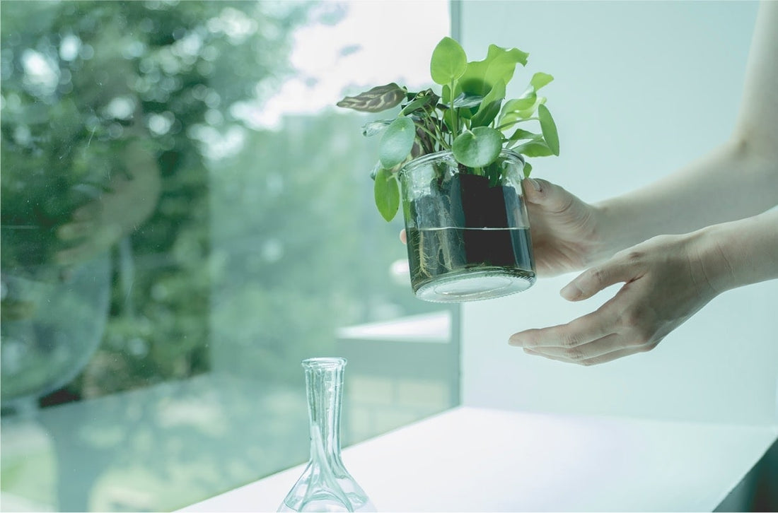 水という資源を起点に、環境へ思いを馳せる &Green 開発担当者