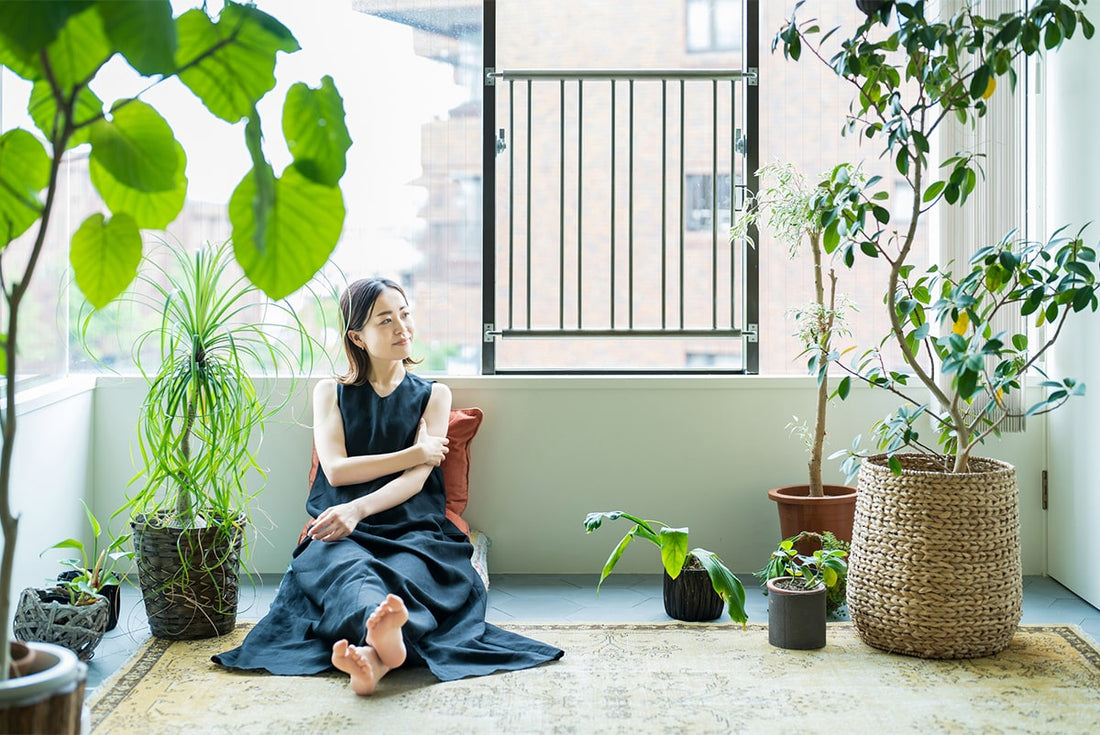風水に良い観葉植物とは?風水効果を高める選び方と部屋別のおすすめ8選