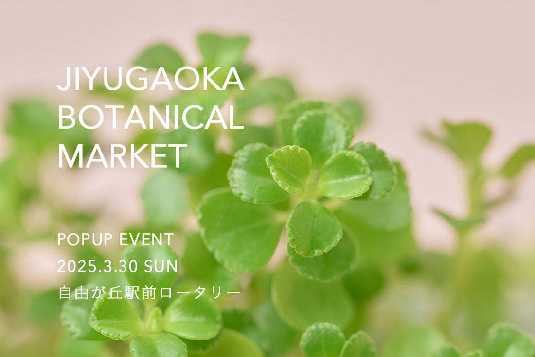 「花と植物」をテーマにしたマーケットイベント「JIYUGAOKA BOTANICAL MARKET」出店のお知らせ