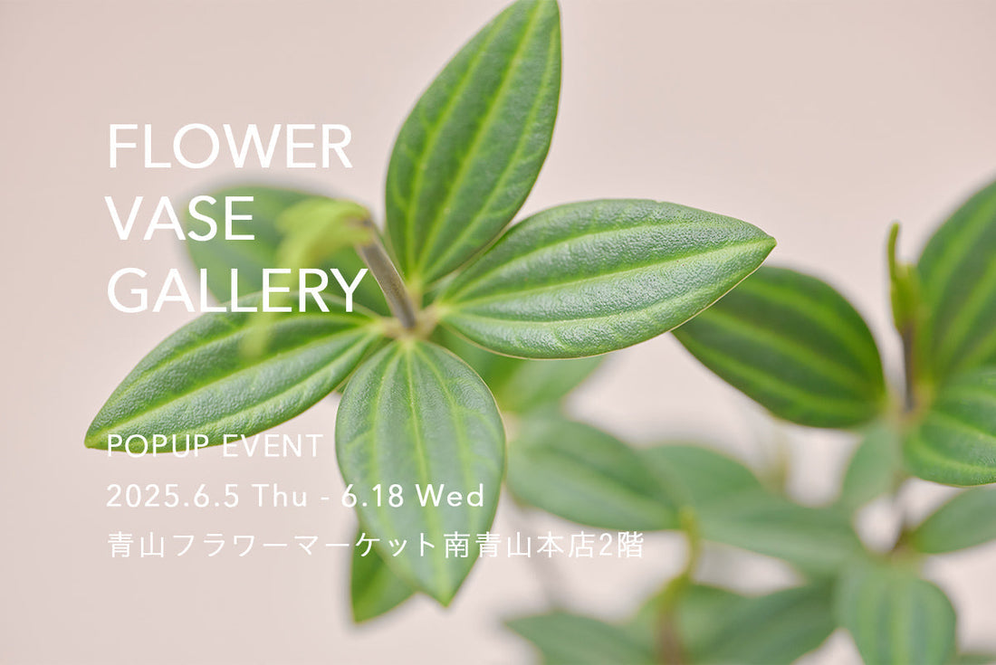 青山フラワーマーケット南青山本店「FLOWER VASE GALLERY」にてPOPUP STORE開設のお知らせ