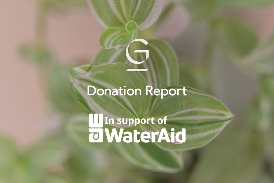 WaterAid Japanへ寄付のご報告