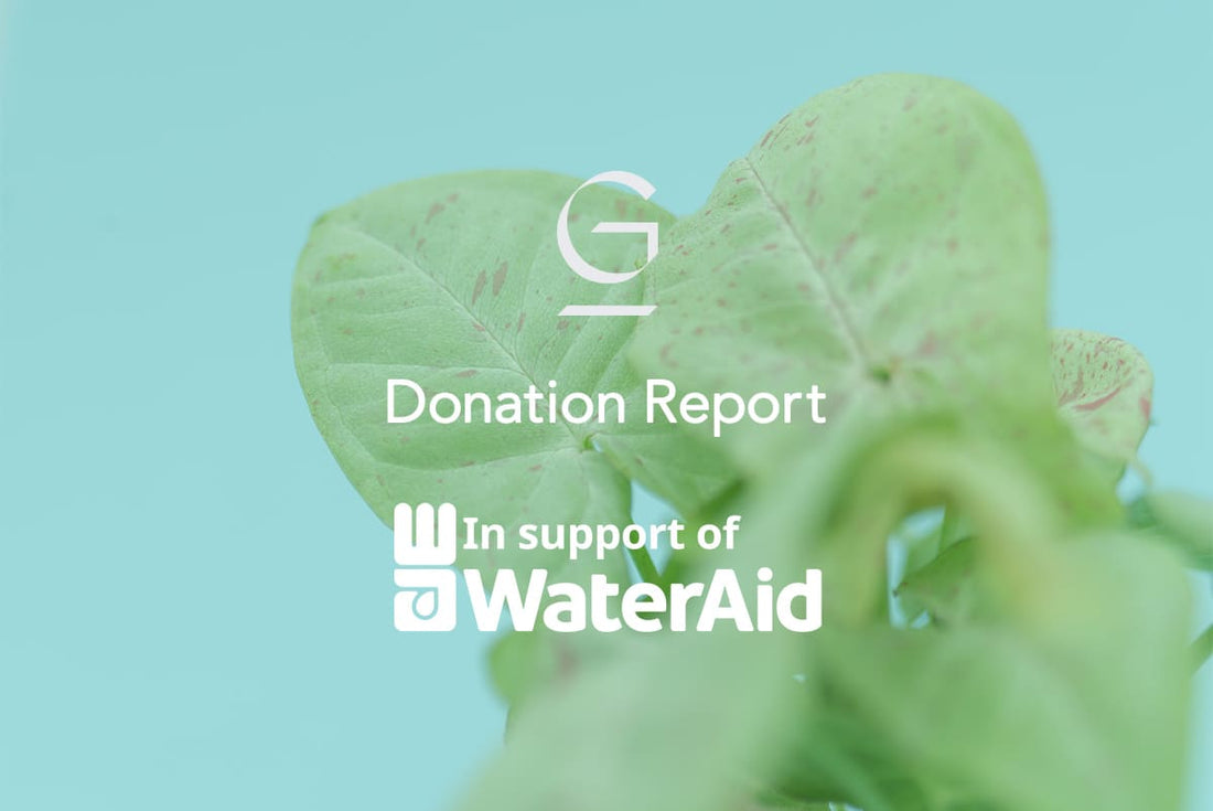 WaterAid Japanへ寄付のご報告
