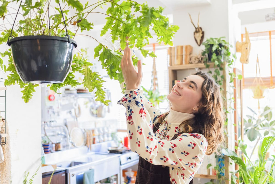 かわいい観葉植物はどう選ぶ?選び方のコツとおすすめ10選