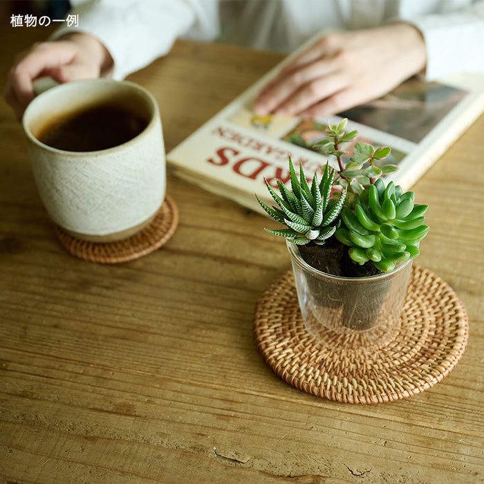 Taniku Set – &Green Taniku Set – &Green