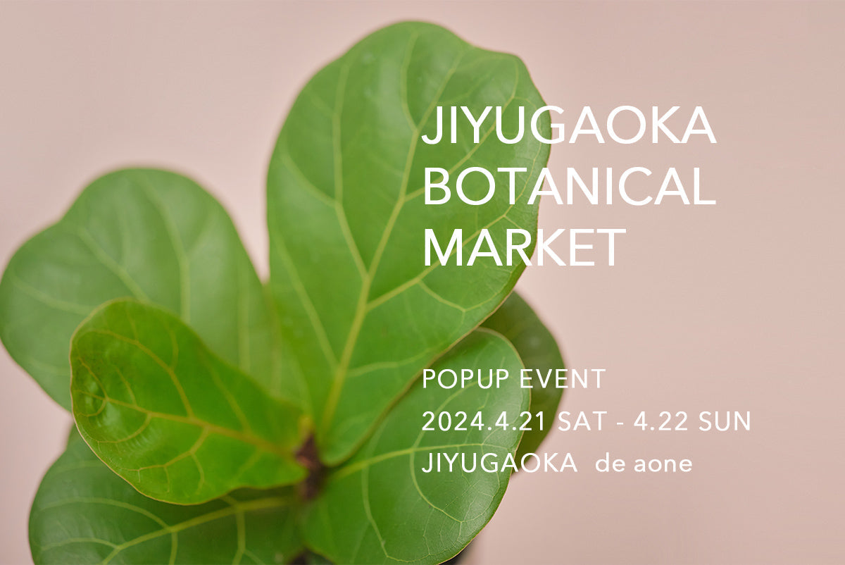 「JIYUGAOKA BOTANICAL MARKET」出店のお知らせ