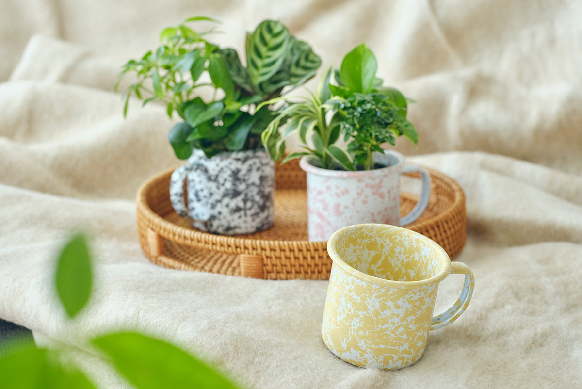 Crow Canyon クロウキャニオンホーム goout CROW CANYON HOME MUG発売