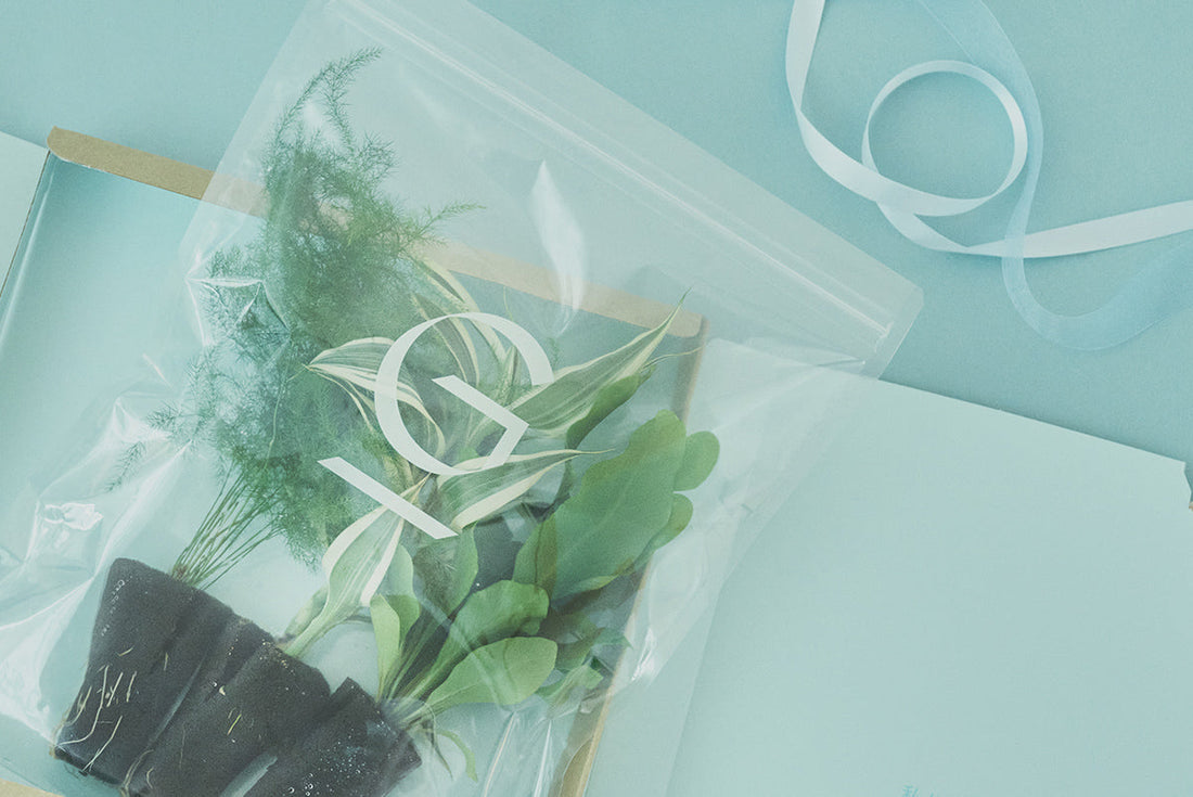 父の日にプレゼントを贈らない人が半数以上！＆Greenの土を使わない観葉植物は父の日ギフトにもおすすめ