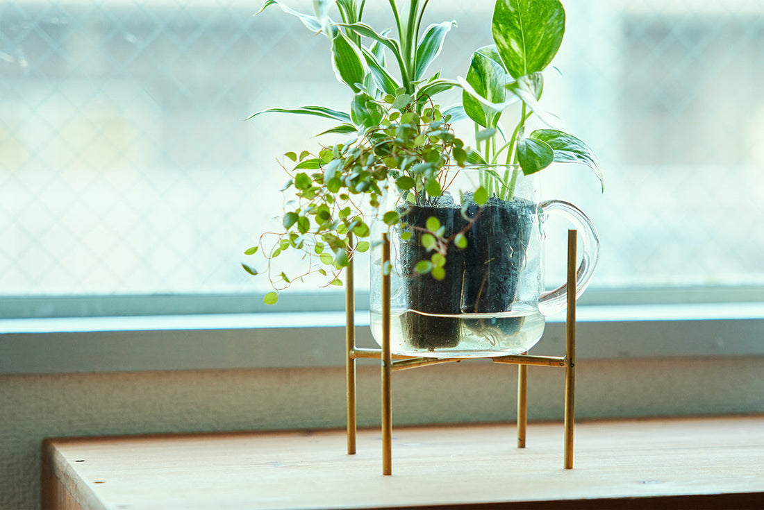 肥料と活力剤の使い方