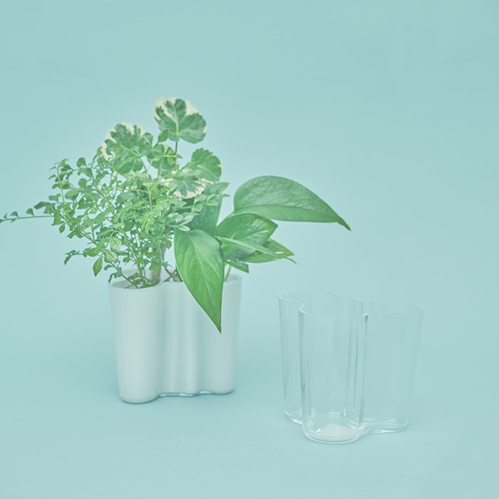 IITTALA アアルトベース クリア｜土を使わない観葉植物 – &Green