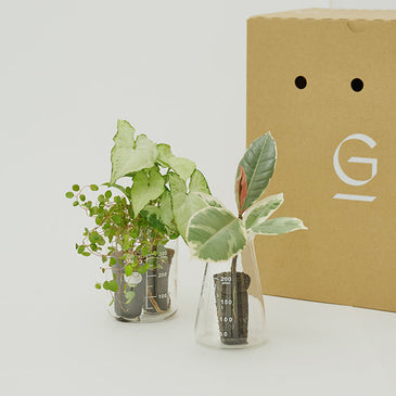 ＆Green Set w/Beaker