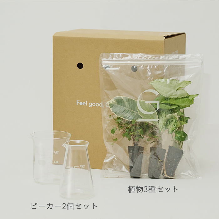 &Green Set w/Beaker（植物と器のセット）｜土を使わない観葉植物