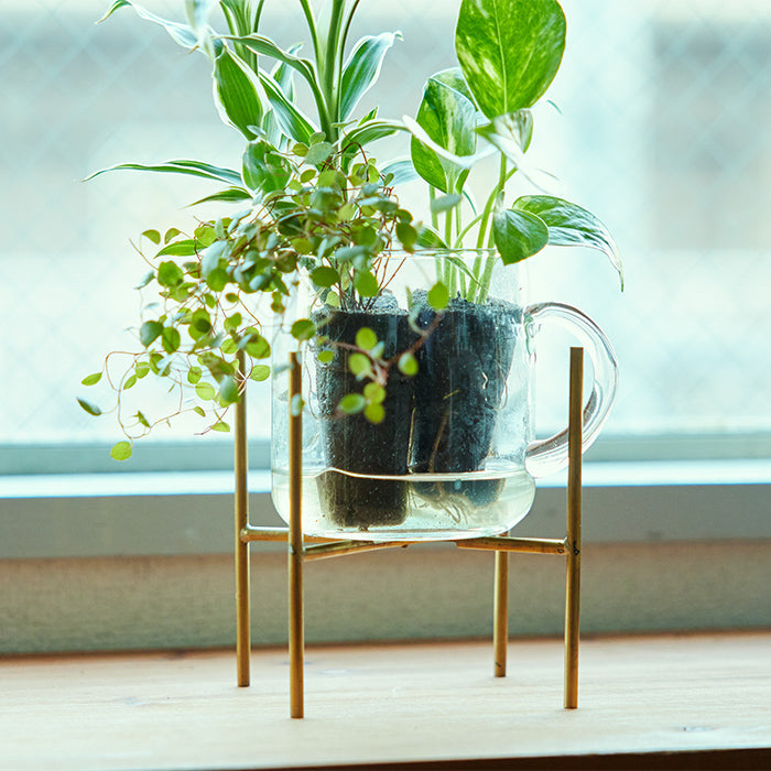Brass Stand 真鍮製の植物スタンド｜土を使わない観葉植物 – &Green