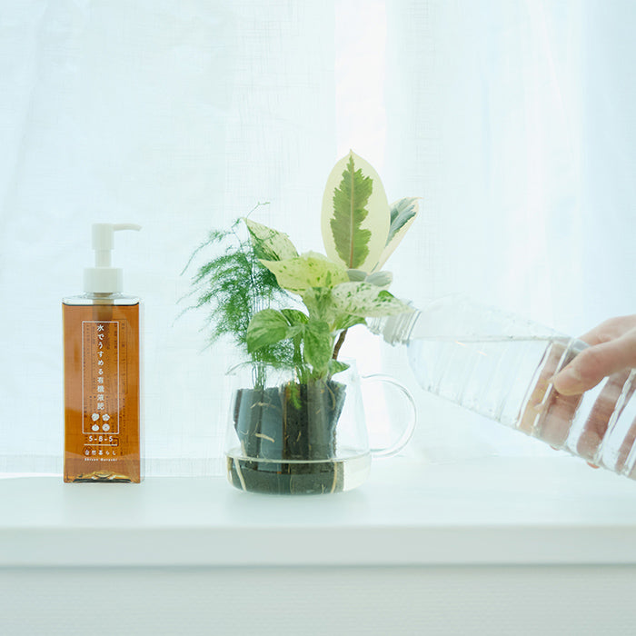 水でうすめる有機液肥｜土を使わない観葉植物 – &Green