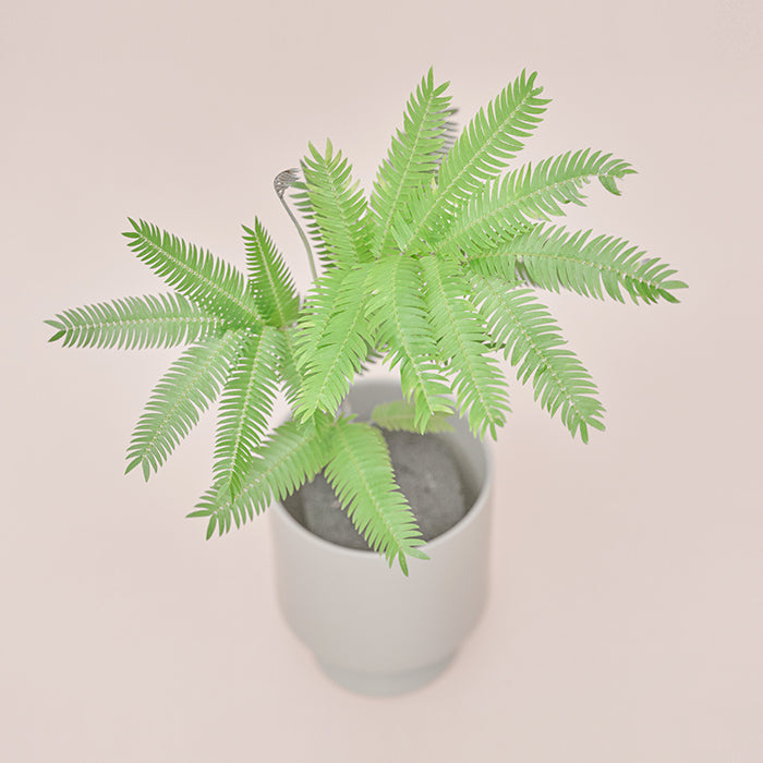 エバーフレッシュ M（Simple Green）｜土を使わない観葉植物 – &Green