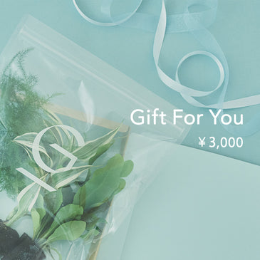 &Green Gift Card 3,000円