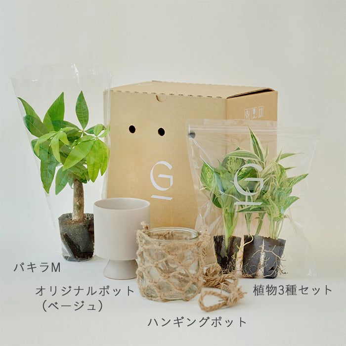 Hanging & パキラM Set – &Green