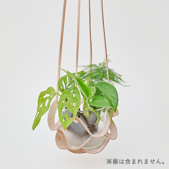 Hanging Leather（ハンギングレザー）｜土を使わない観葉植物 – &Green