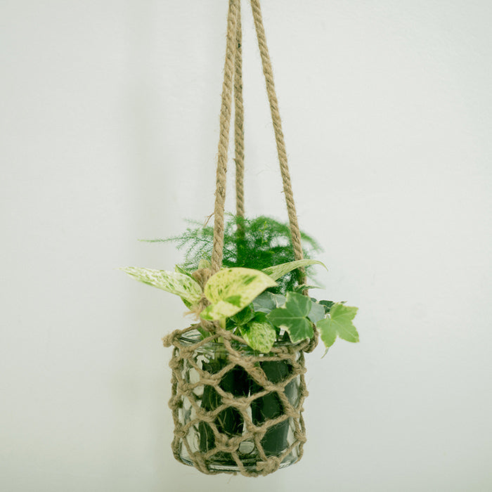 Hanging Pot