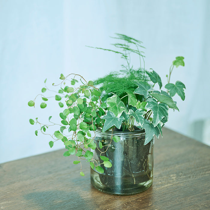 花・観葉植物用ポット ラダ ハンギング13 C 4個入り 40169 （代引き不可） p185 花・観葉植物用ポット ラダ ハンギング 13 C HANGING （4個入り