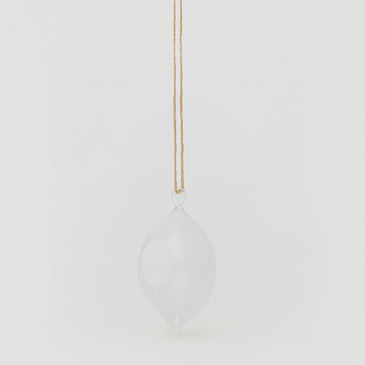 Lemon  Glass Hanging