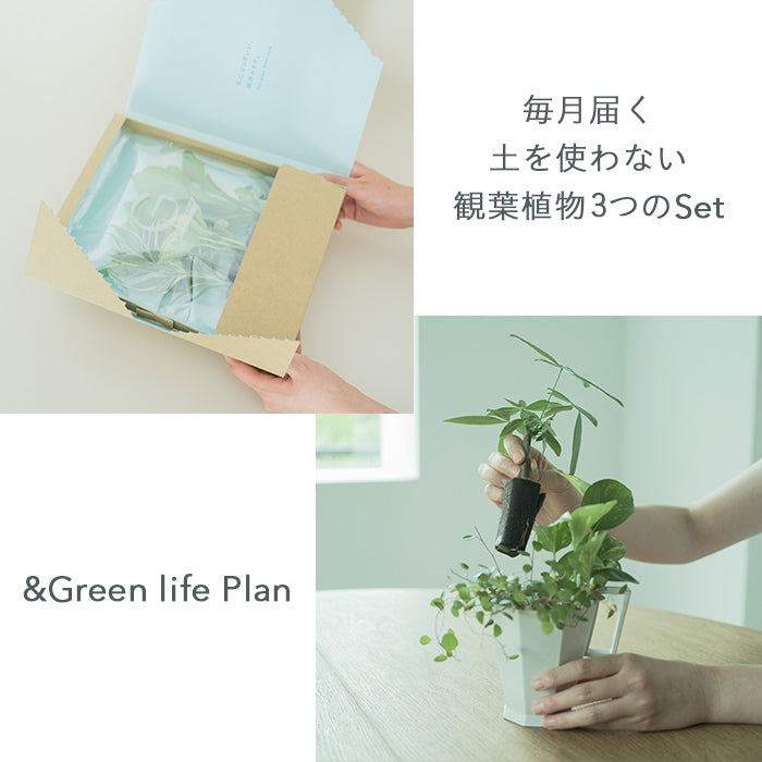 ＆Green life Plan