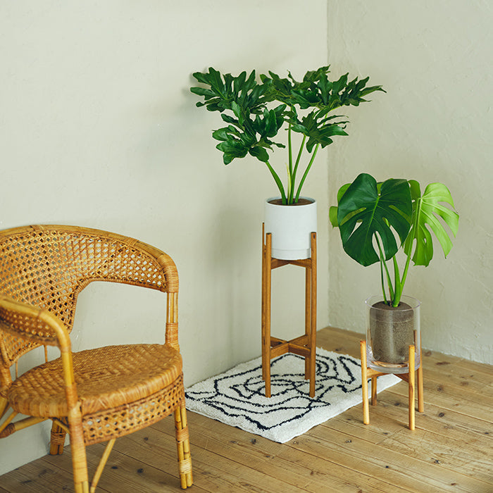 フィロデンドロン・ホープ L SKWhite Pot（Simple Green L） – &Green