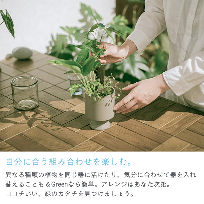 ＆Green Set w/Original Pot（植物と器のセット）｜土を使わない観葉