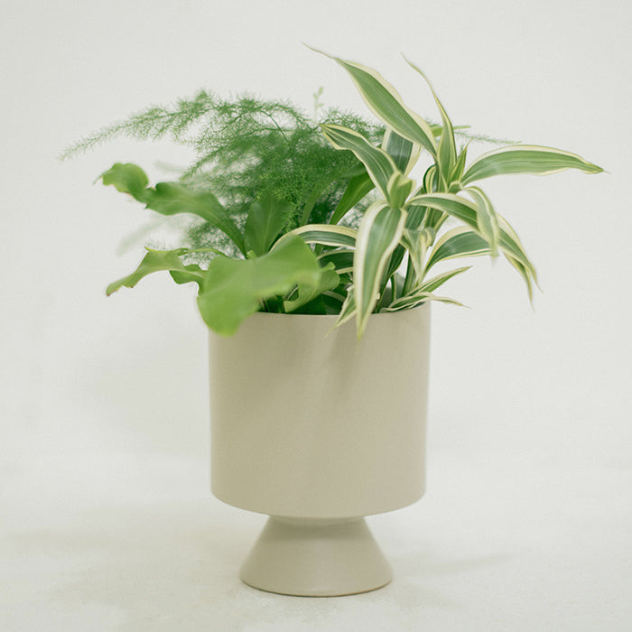Start Set（器、ジョーロ、活力剤のセット）｜土を使わない観葉植物