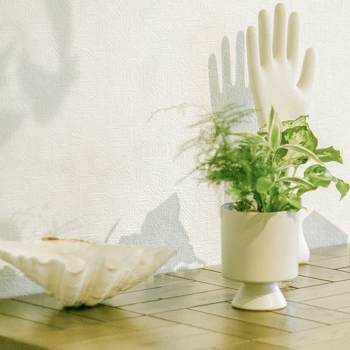 Original Pot Beige オリジナルの器｜土を使わない観葉植物 – &Green
