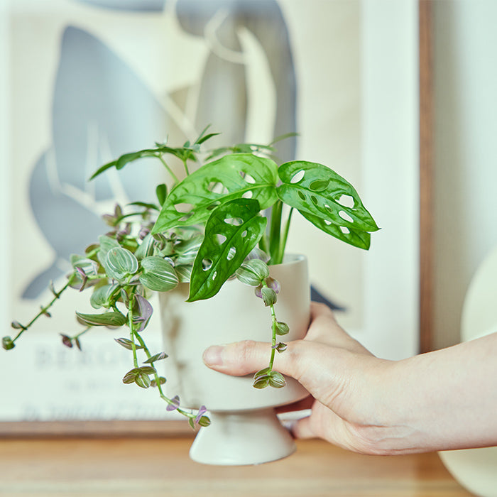 originalpot_beige_06.jpg?v=