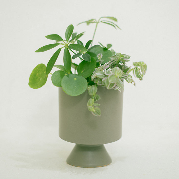 blue gray出品　レトロな木製植物台と味わい木箱 blue gray出品 レトロな木製植物台と味わい木箱 Amazon.co.jp: MJKQ9