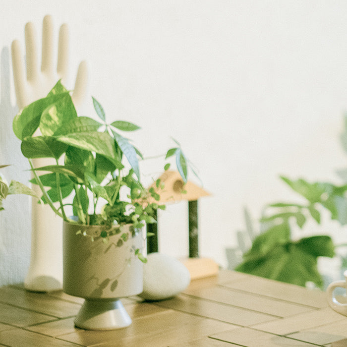 Original Pot Gray オリジナルの器｜土を使わない観葉植物 – &Green