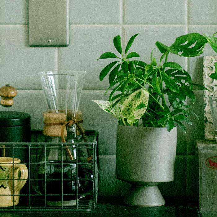 Original Pot Gray オリジナルの器｜土を使わない観葉植物 – &Green