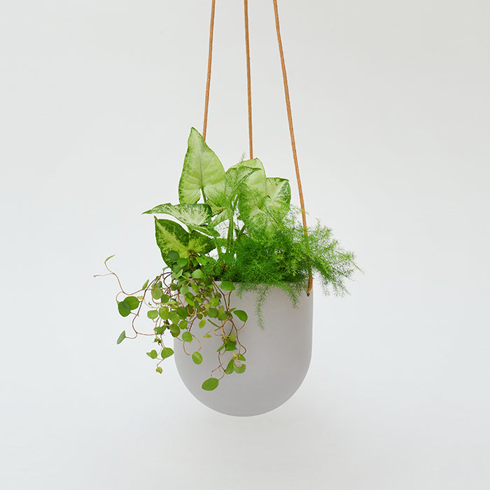 Pottery Hanging Gray 陶器製のハンギングポット｜土を使わない