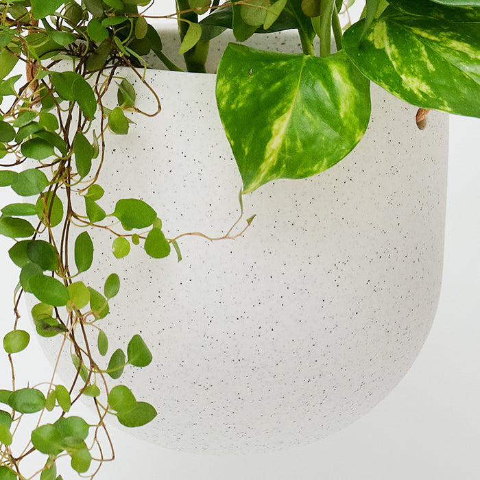Pottery Hanging White 陶器製のハンギングポット｜土を使わない観葉