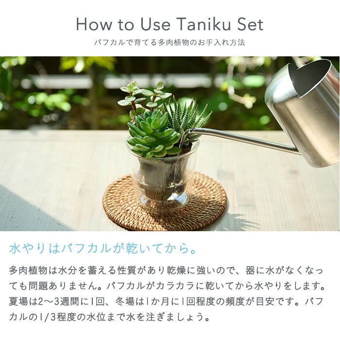 Taniku Set Ulala（多肉植物のセット）｜土を使わない観葉植物