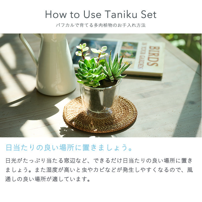 Taniku Set Blue（多肉植物のセット）｜土を使わない観葉植物 – &Green