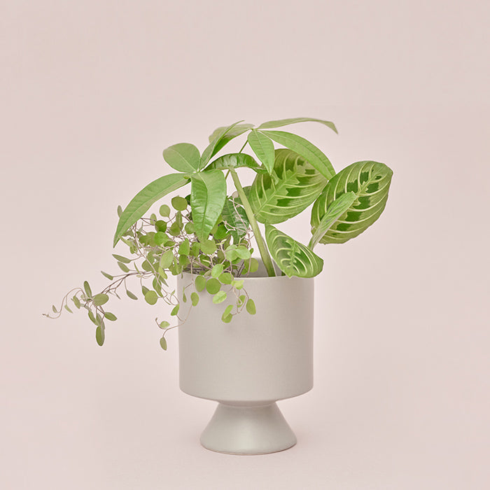 Original Set – &Green