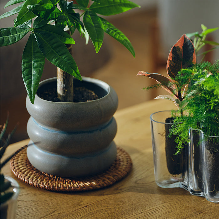 Wave Pot 個性的な陶器製の器｜土を使わない観葉植物 – &Green
